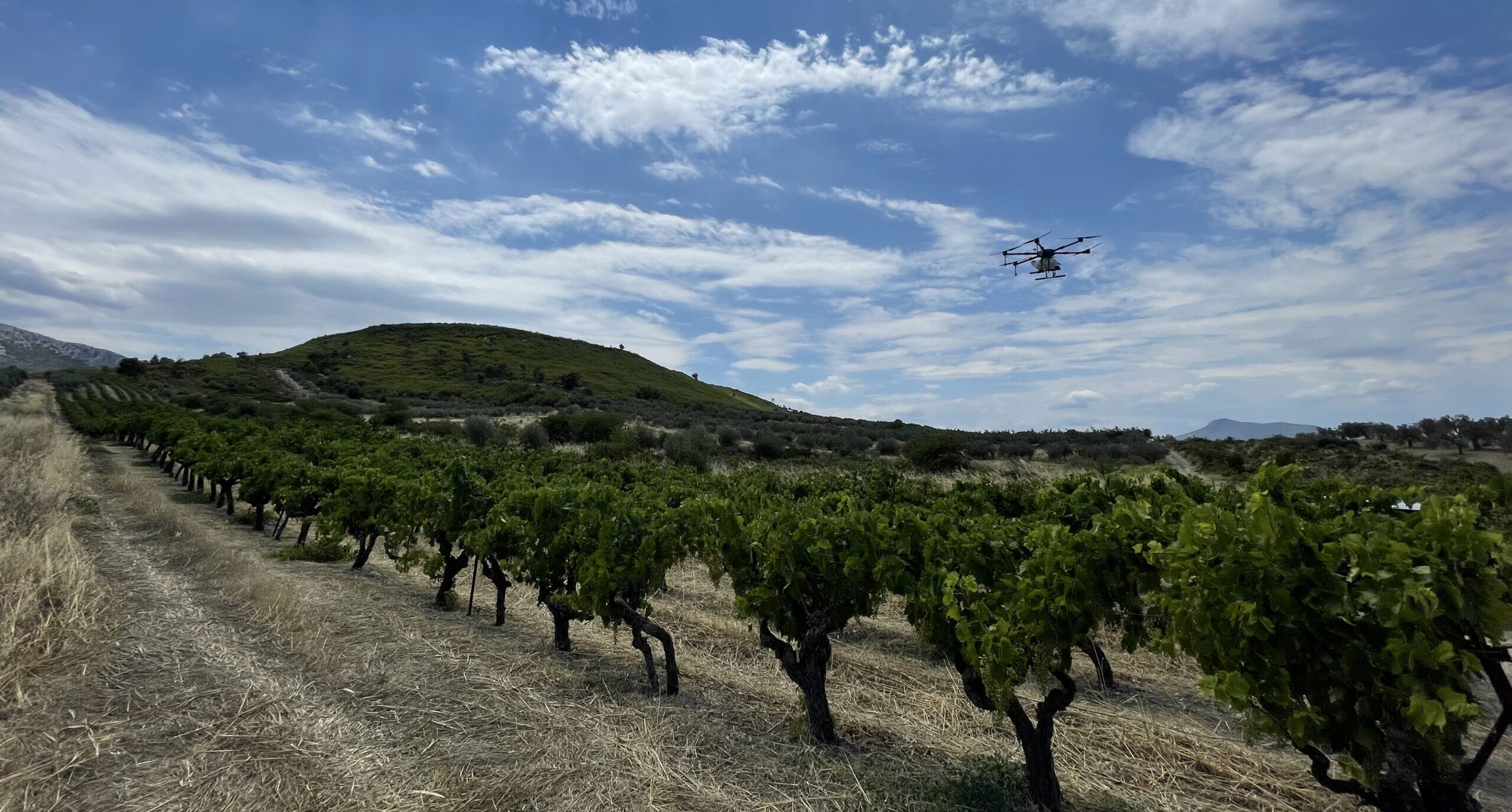The use of agricultural drones in Cyprus is at a low level